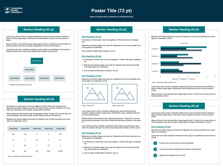 Example Poster Title